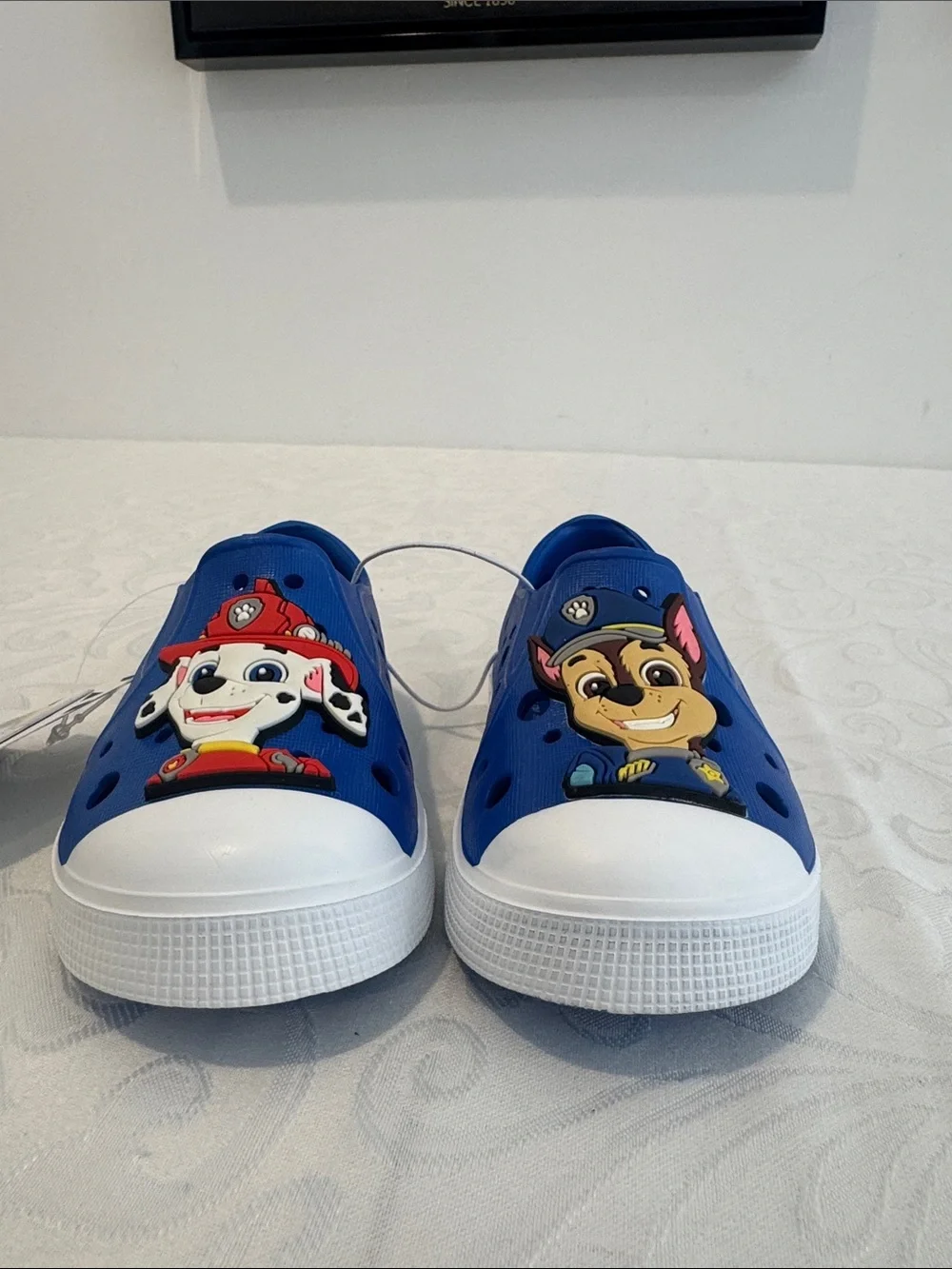 Harper Canyon Paw Patrol Mismatched Water Shoe